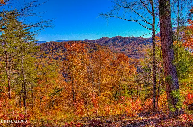 $11,050,000 | 2000 East Millers Cove Road, Walland, TN 37886