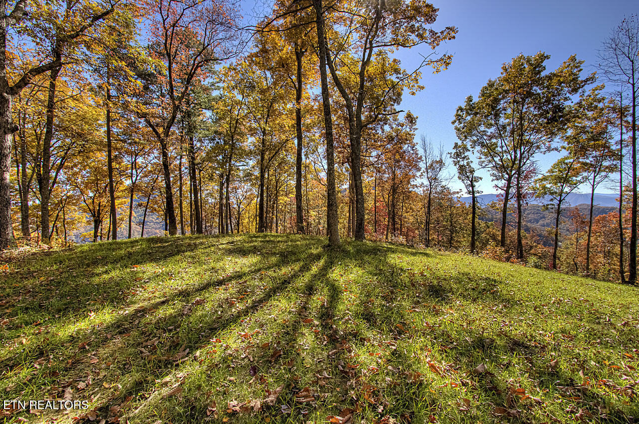 2000 East Millers Cove Road Walland, TN 37886 - Photo 5 of 60 West Section Ridge