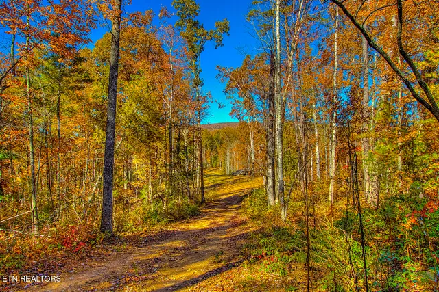 $11,050,000 | 2000 East Millers Cove Road, Walland, TN 37886