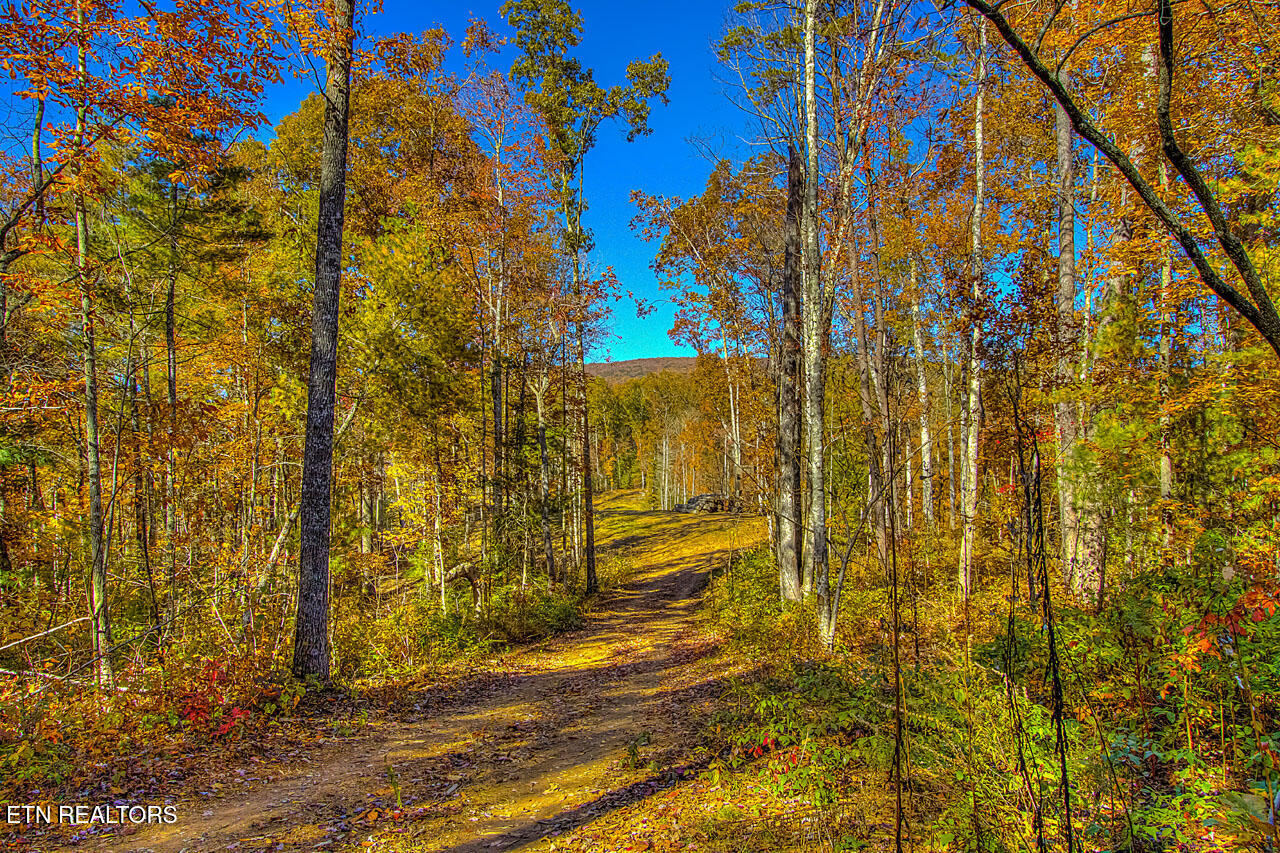 2000 East Millers Cove Road Walland, TN 37886 - Photo 51 of 60 West to North