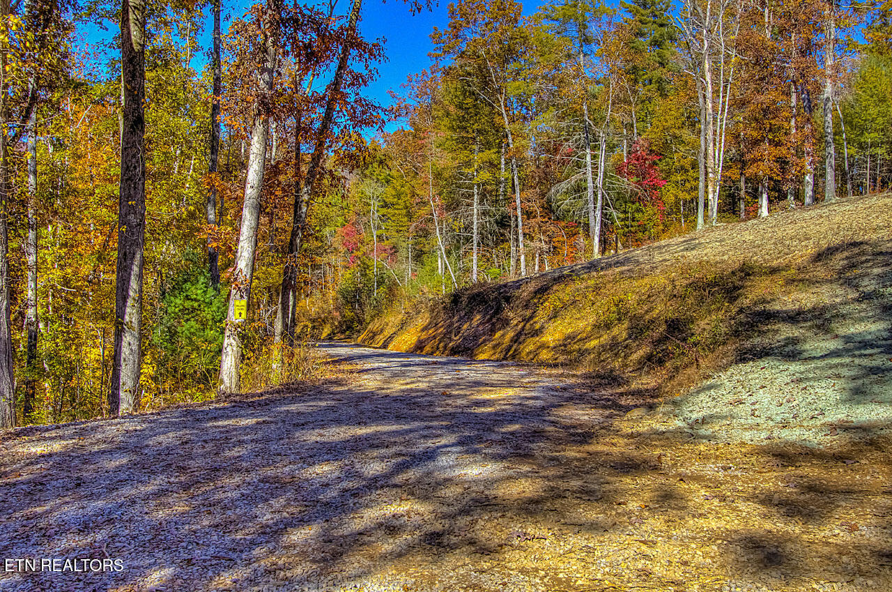 2000 East Millers Cove Road Walland, TN 37886 - Photo 52 of 60 Access Road