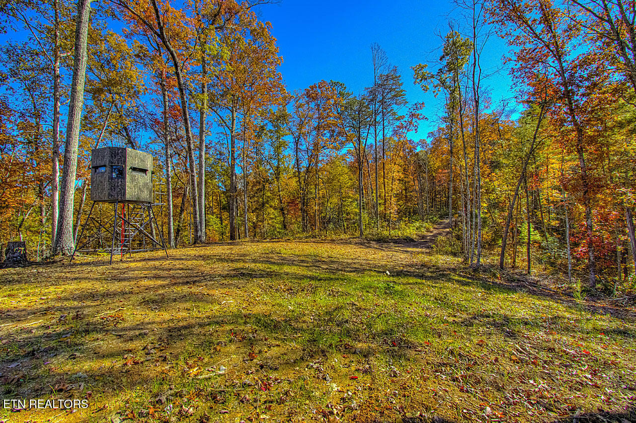 2000 East Millers Cove Road Walland, TN 37886 - Photo 53 of 60 Field 2