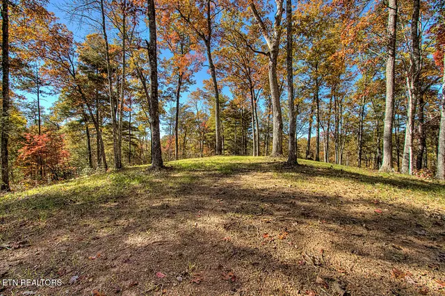 $11,050,000 | 2000 East Millers Cove Road, Walland, TN 37886