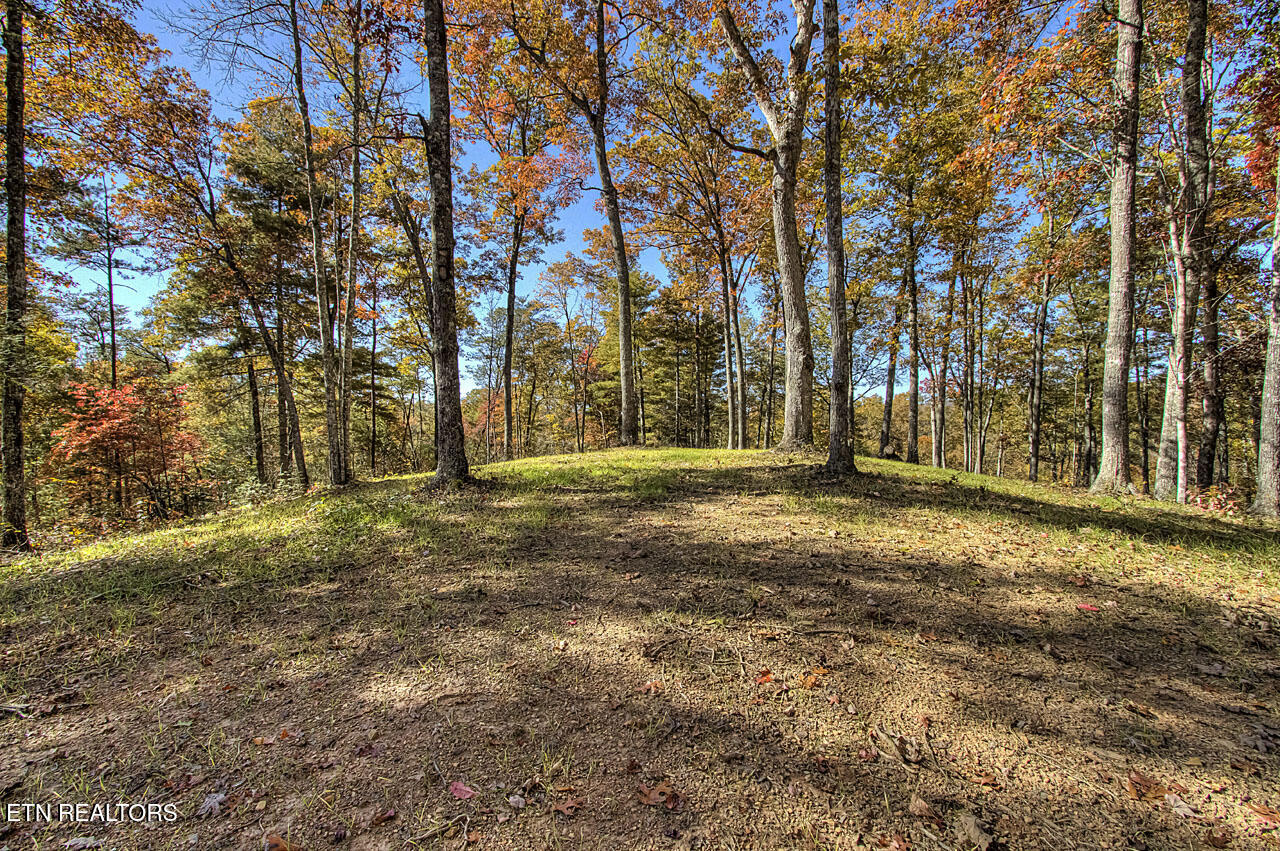 2000 East Millers Cove Road Walland, TN 37886 - Photo 54 of 60 Field 3 West section