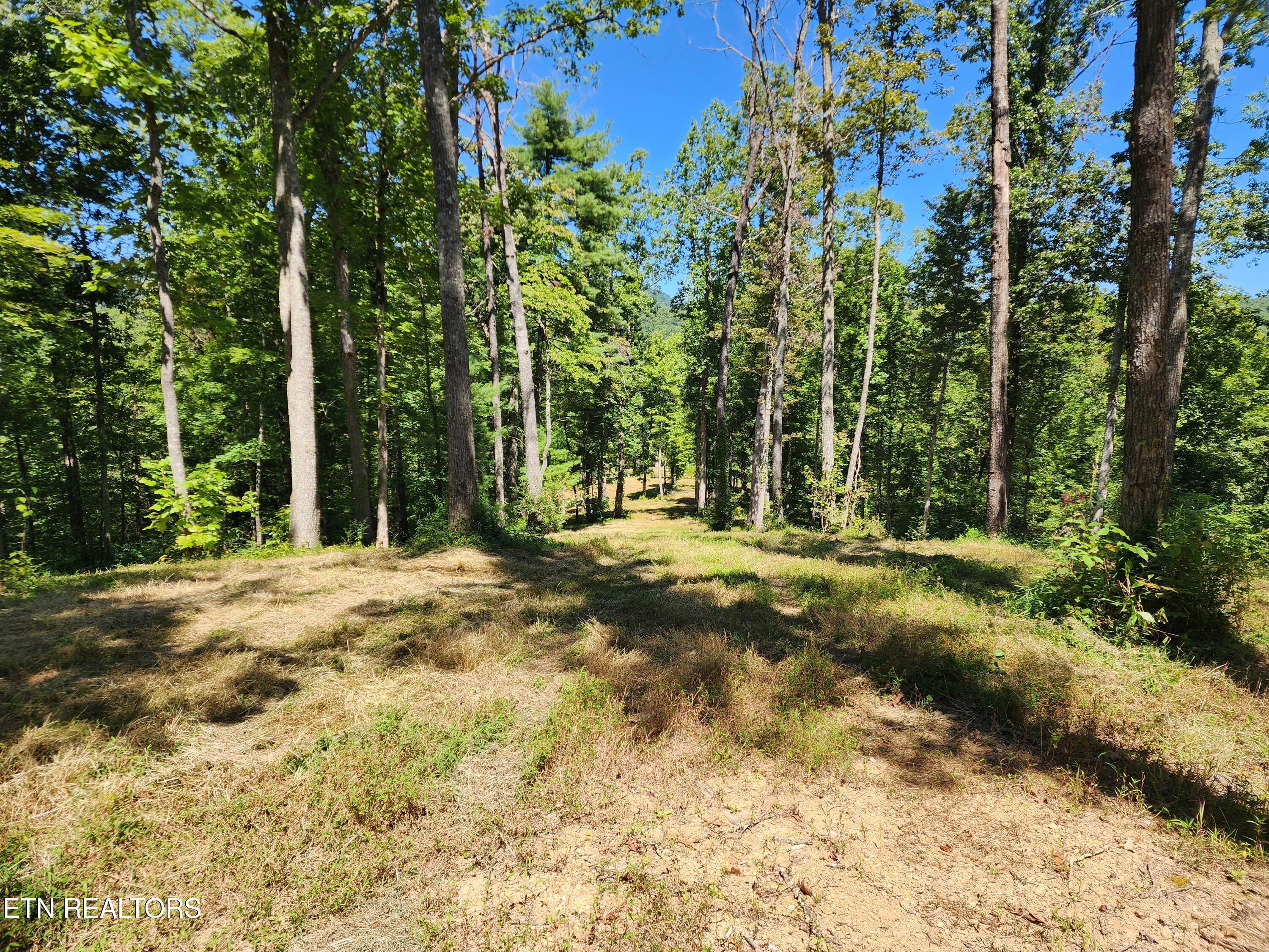 2000 East Millers Cove Road Walland, TN 37886 - Photo 59 of 60 West- Entrance to Field #1