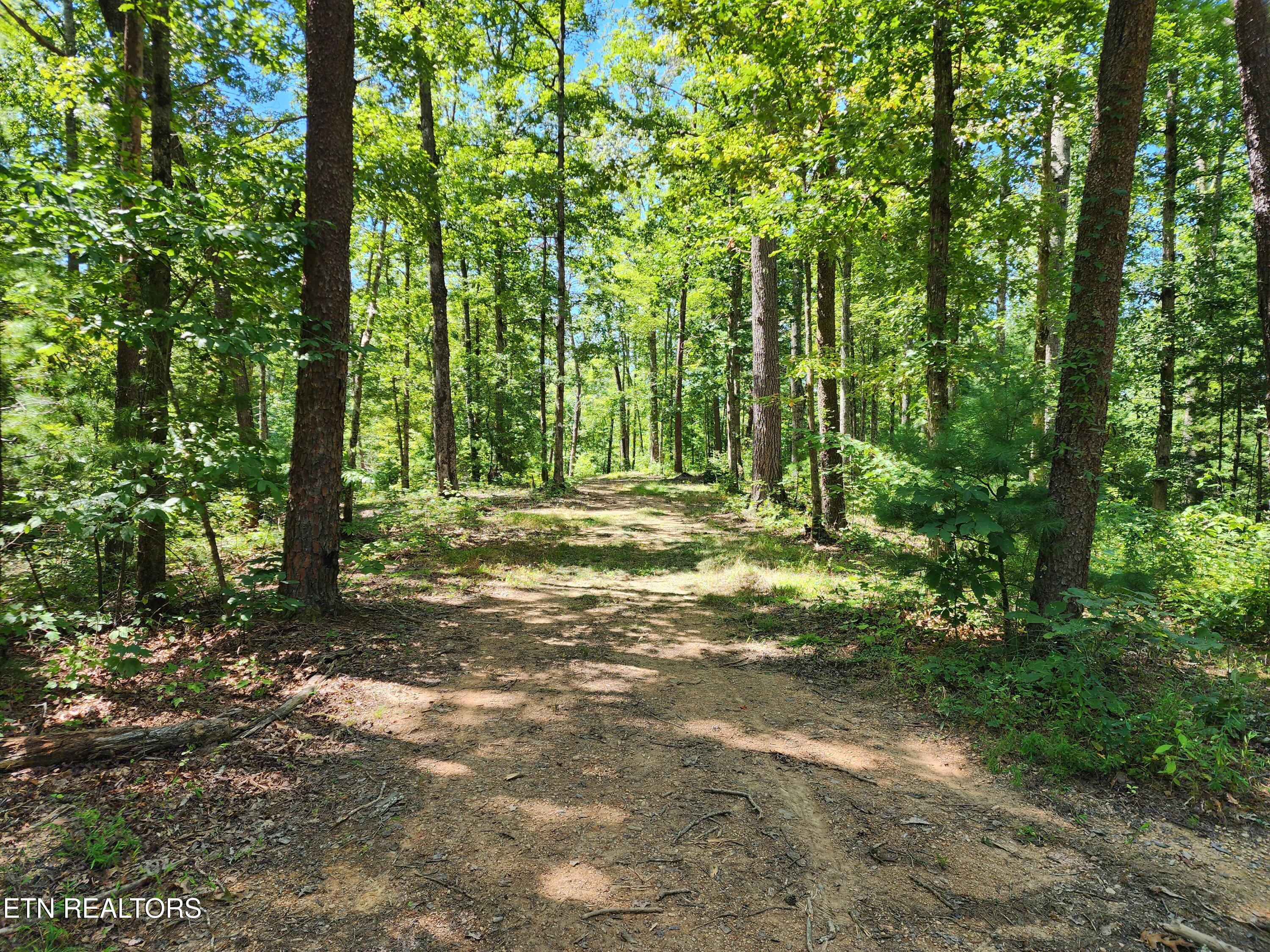 2000 East Millers Cove Road Walland, TN 37886 - Photo 60 of 60 Wide Trails thru the woods