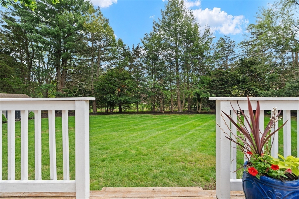 26 Cushing Road Westwood, MA 02090 - Photo 37 of 42 a view of a garden