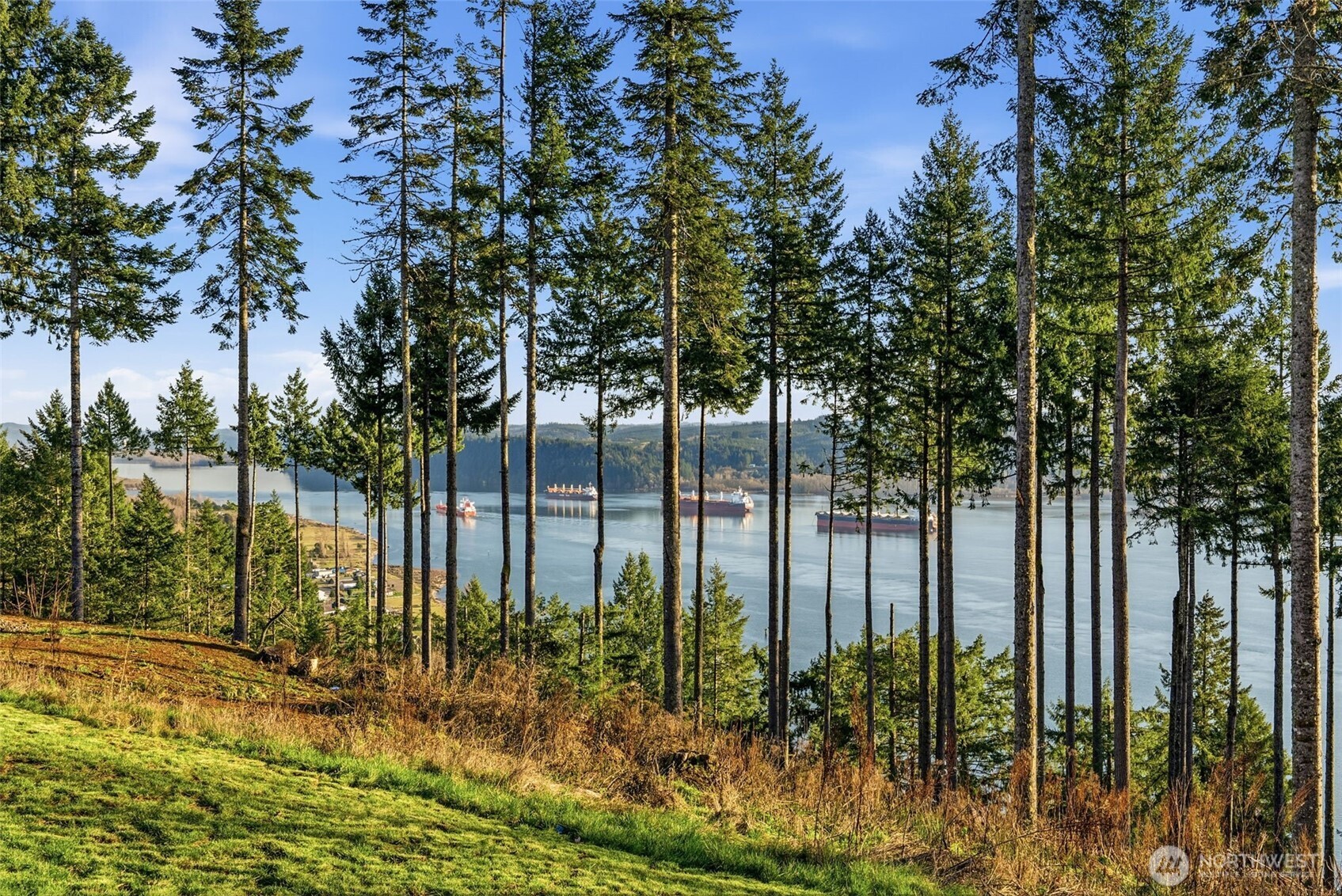 3025 Stella Road Longview, WA 98632 - Photo 2 of 35