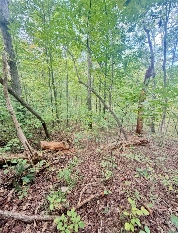 140 Pickens Road Westminster, SC 29693 - Photo 37 of 42