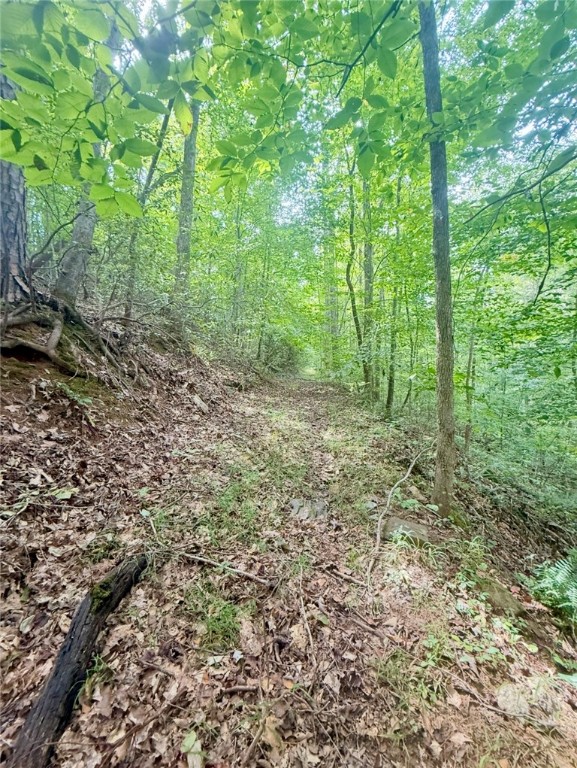 140 Pickens Road Westminster, SC 29693 - Photo 38 of 42