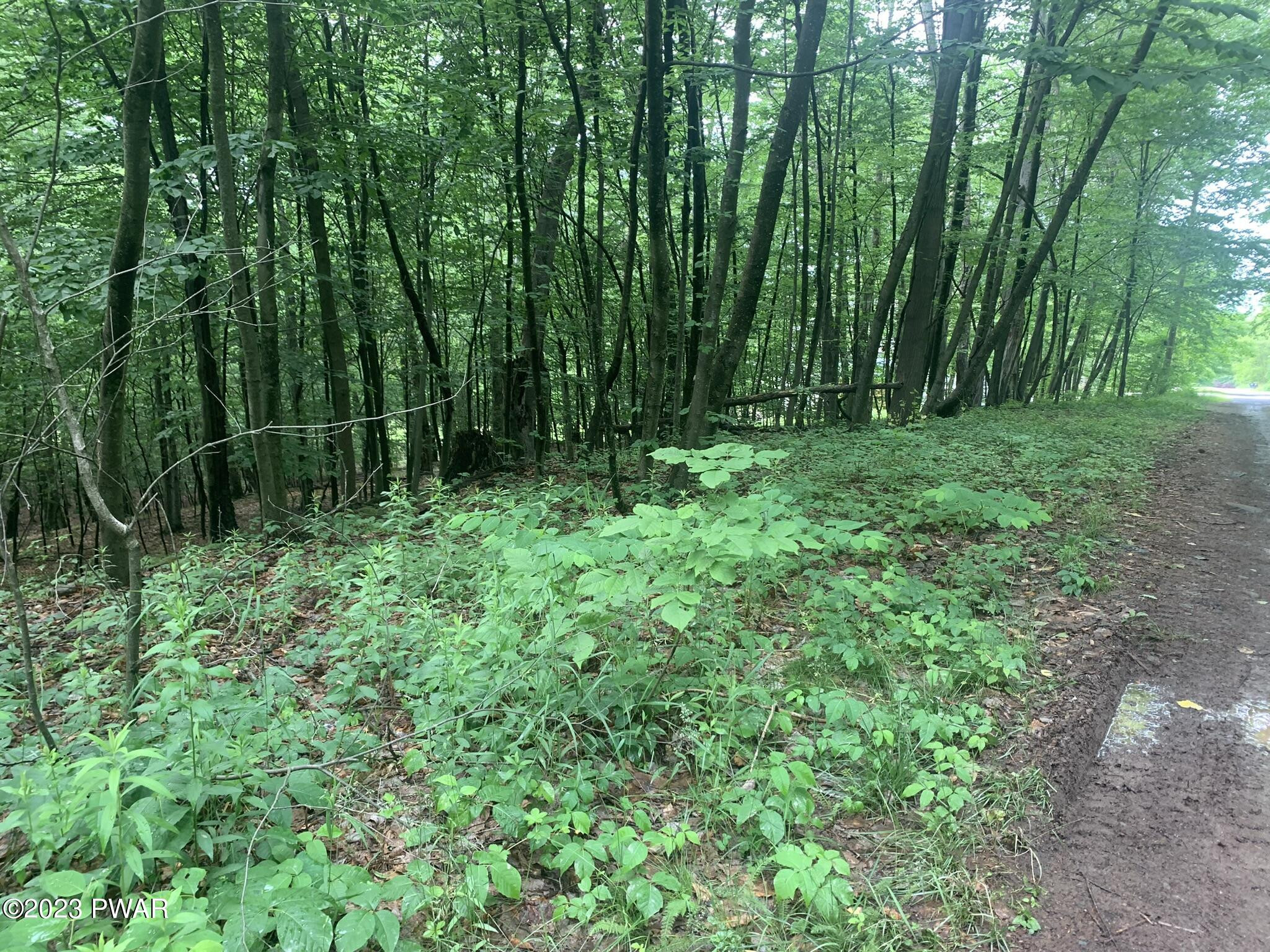 Lot 28 Murnin Rd Lake Lake Ariel, PA 18436 - Photo 6 of 11