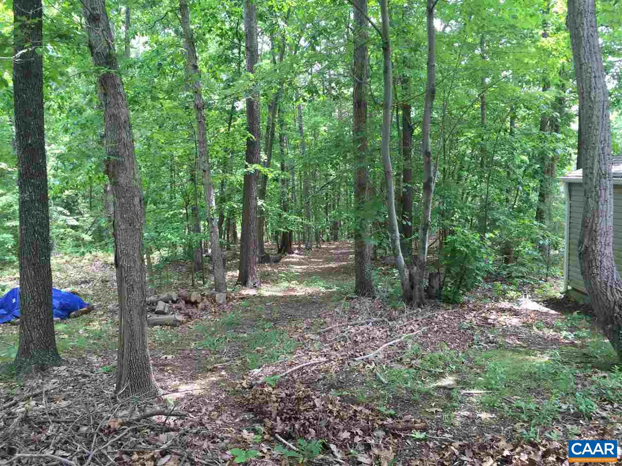 340 Gold Mine Road Palmyra, VA 22963 - Photo 12 of 38