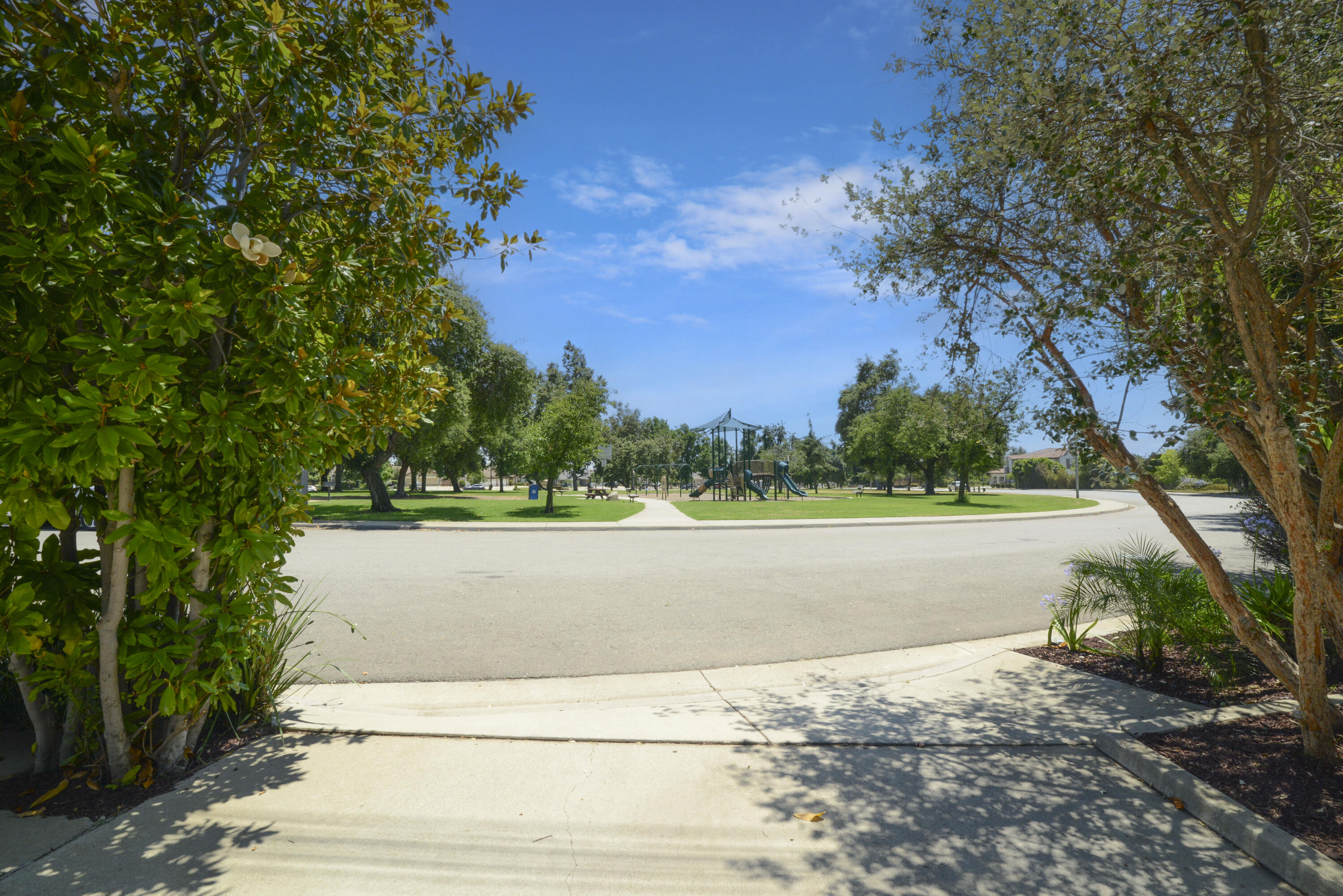 5905 Old Wheeler Road La Verne, CA 91750 - Photo 67 of 81 a view of yard with green space