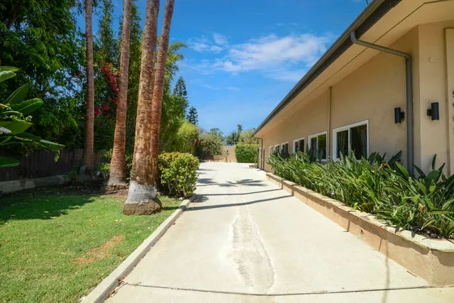 a picture of a field with plants and trees