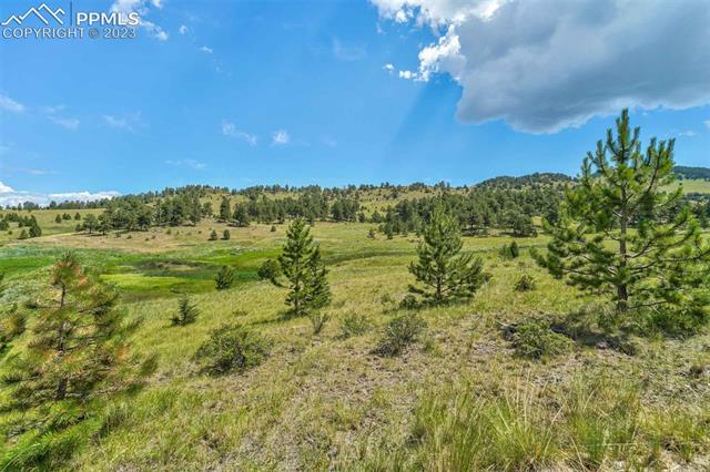 377 Cover Valley Road Guffey, CO 80820 - Photo 23 of 38 Gallery Image 23