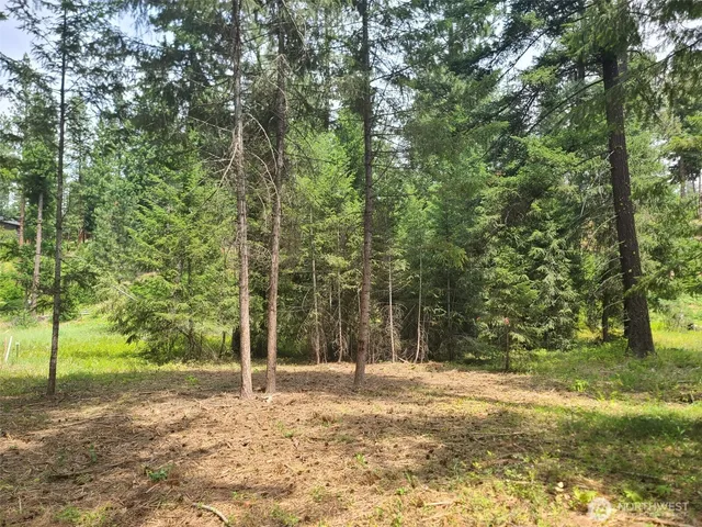 $375,000 | 53 Wanawish Loop, Ronald, WA 98940