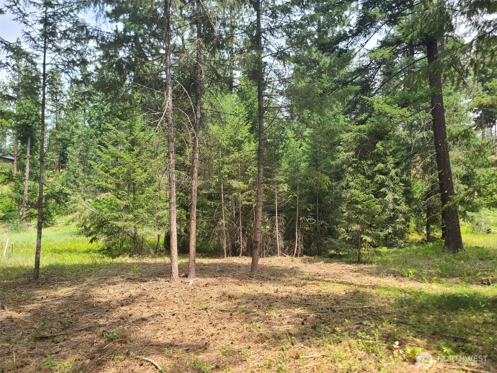 53 Wanawish Loop Ronald, WA 98940 - Photo 2 of 7 a backyard of a house with lots of green space
