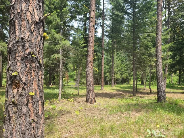 $375,000 | 53 Wanawish Loop, Ronald, WA 98940