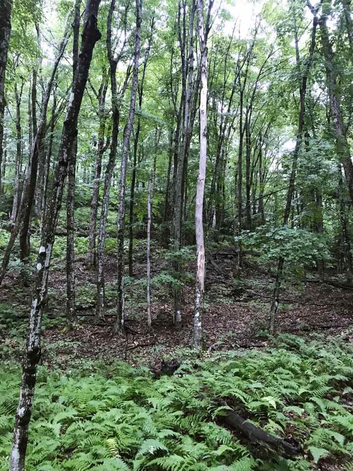 - Lafont Road Barton, VT 05875 - Photo 14 of 27