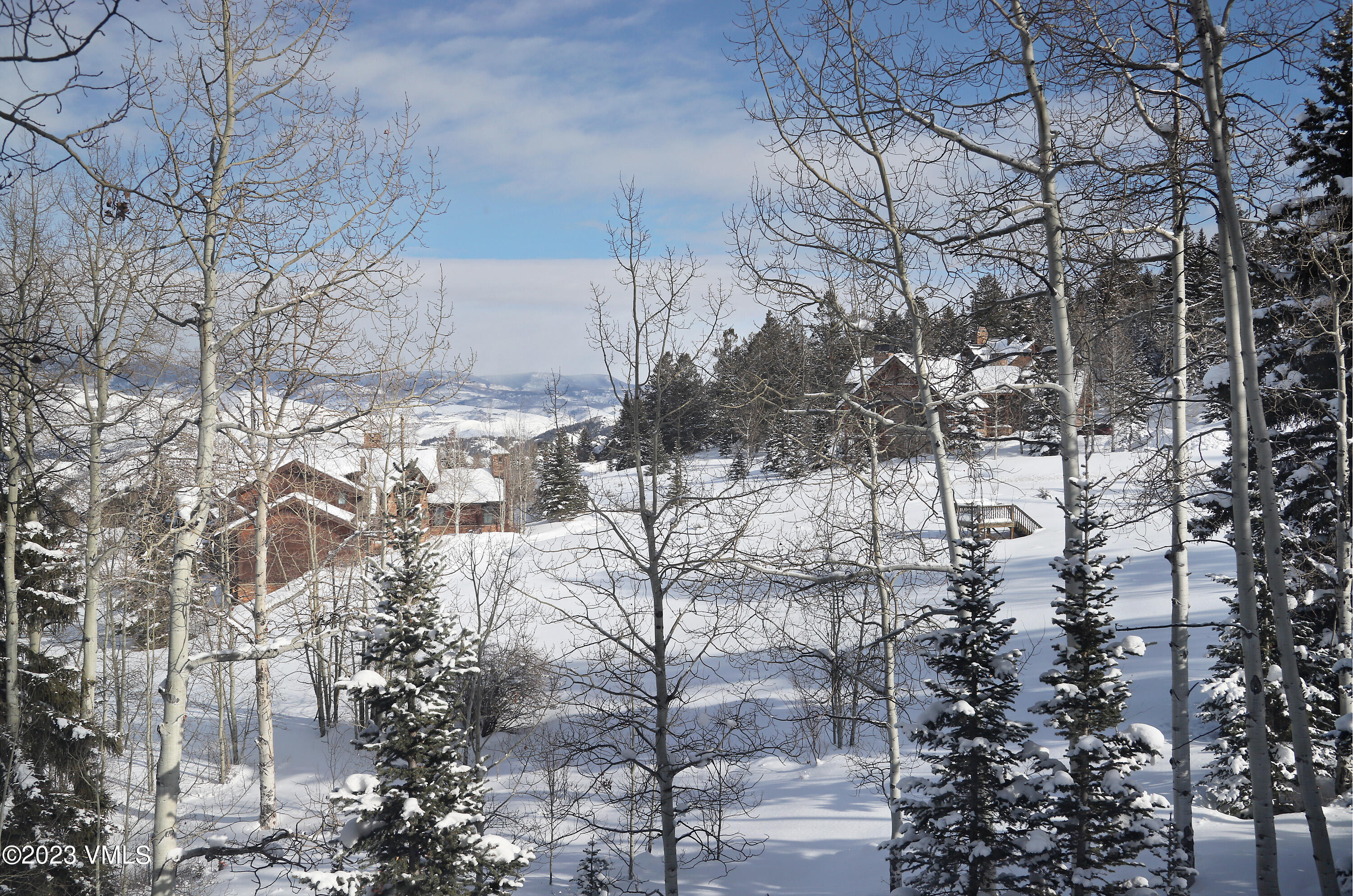 181 Summit Trail Edwards, CO 81632 - Photo 39 of 40 a view of a yard with snow on the road