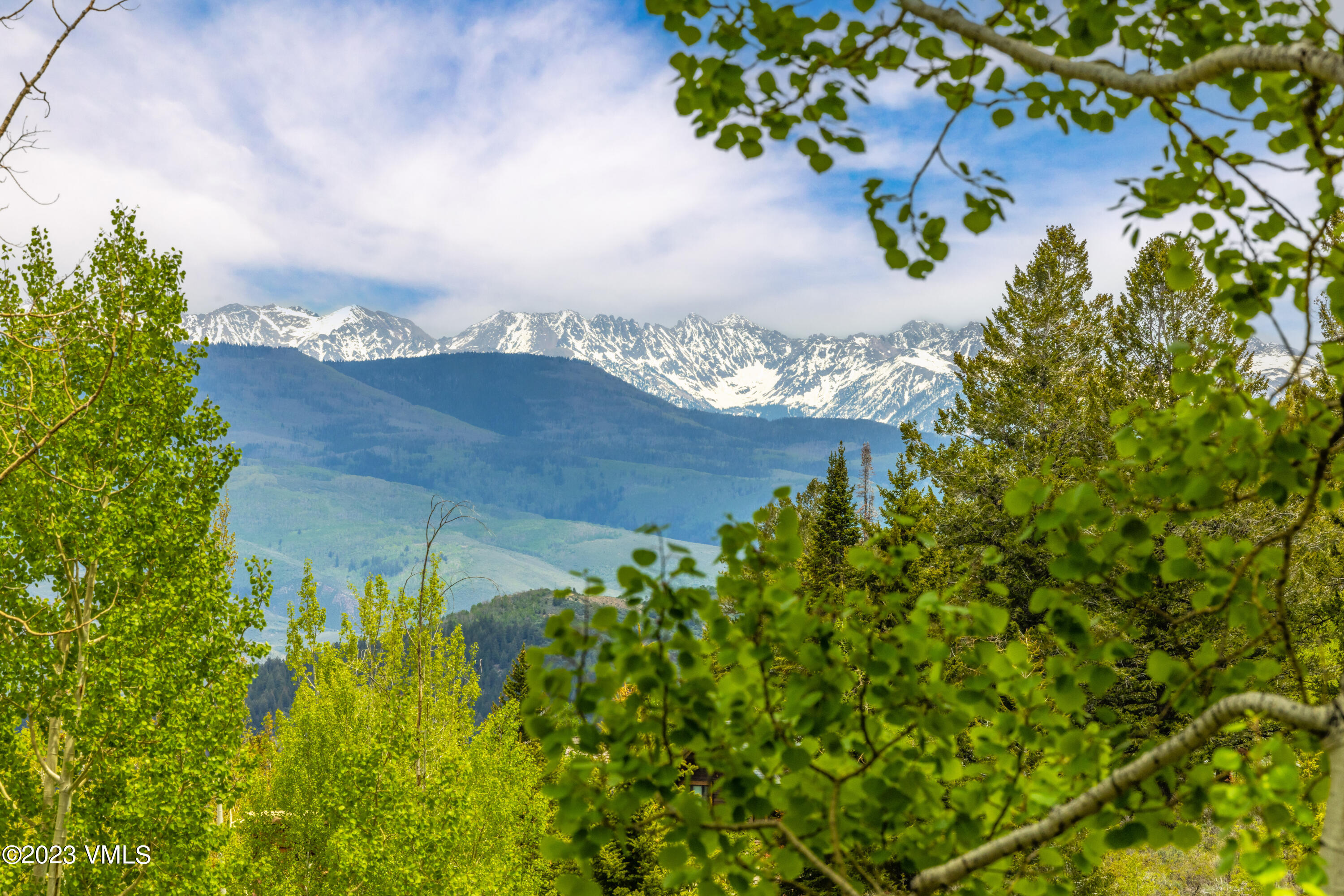 181 Summit Trail Edwards, CO 81632 - Photo 9 of 40 a view of a flower in a garden