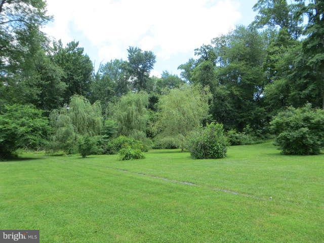 220 Christopher Road Warwick, MD 21912 - Photo 21 of 24 YARD VIEW