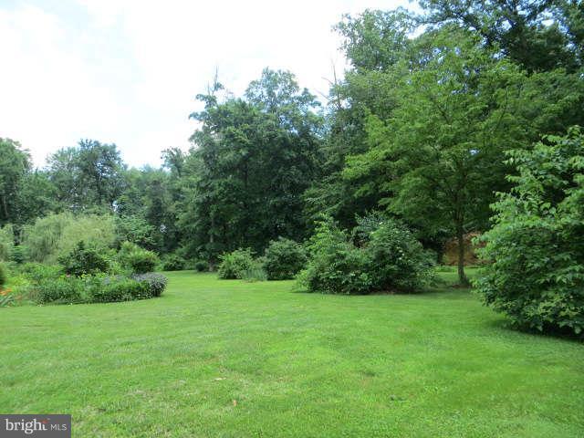 220 Christopher Road Warwick, MD 21912 - Photo 22 of 24 YARD VIEW