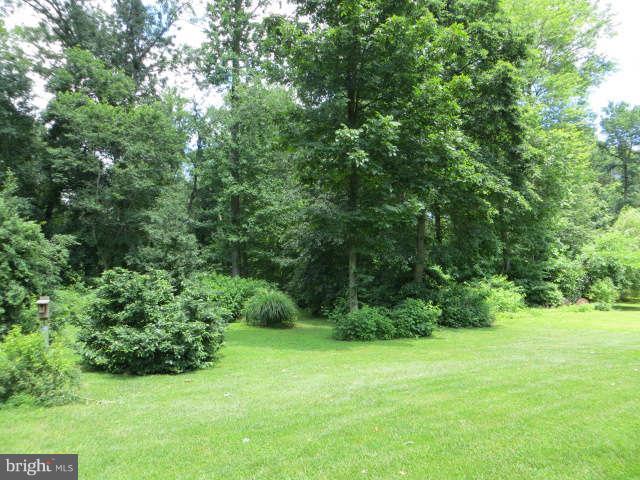 220 Christopher Road Warwick, MD 21912 - Photo 23 of 24 YARD VIEW