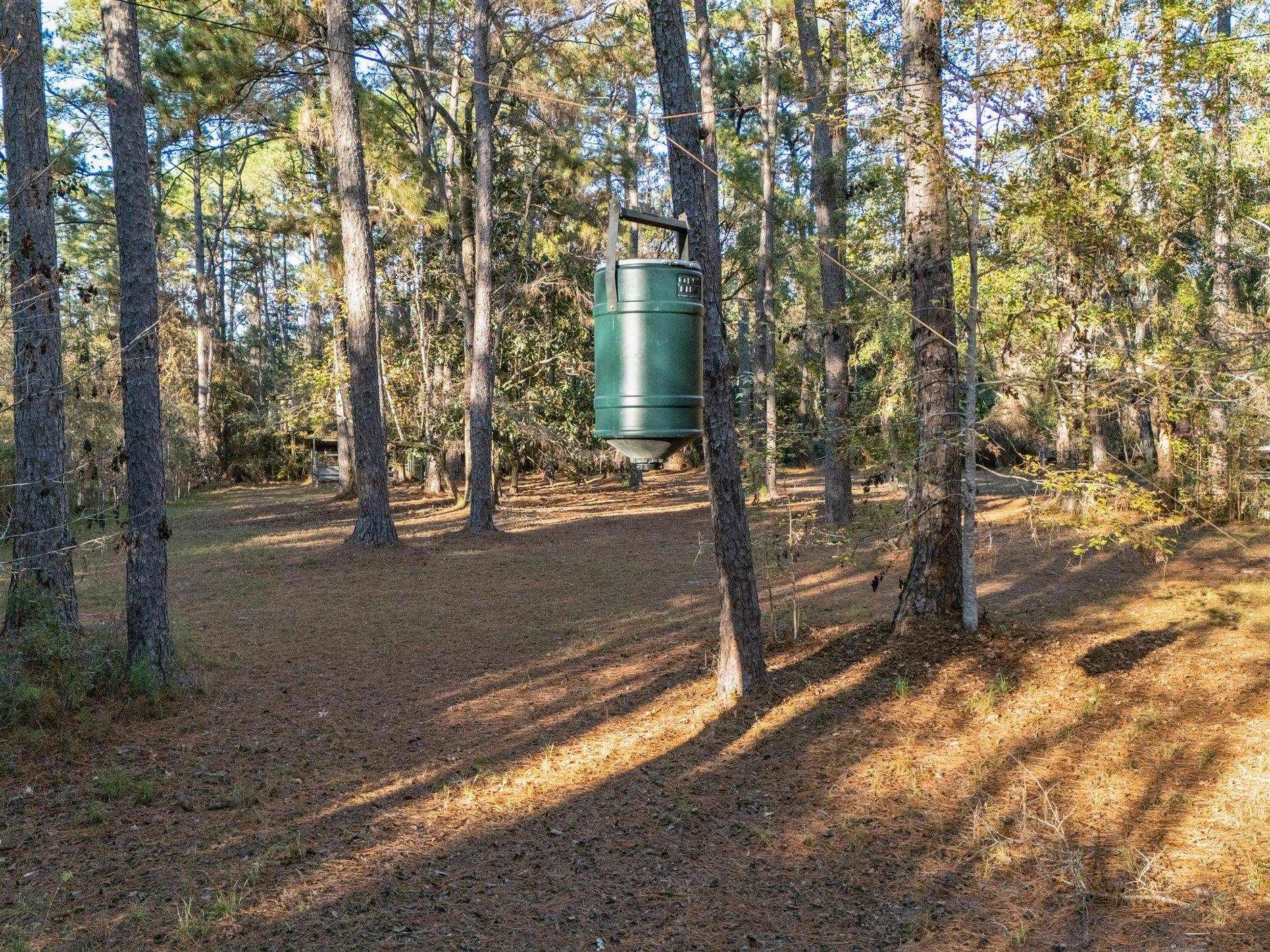 22 Berry Road Sopchoppy, FL 32358 - Photo 21 of 68