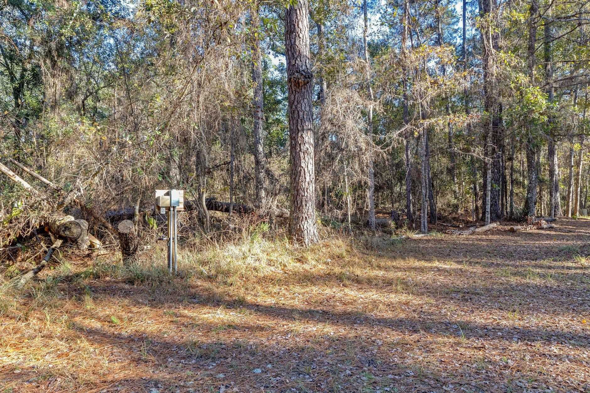 22 Berry Road Sopchoppy, FL 32358 - Photo 24 of 68