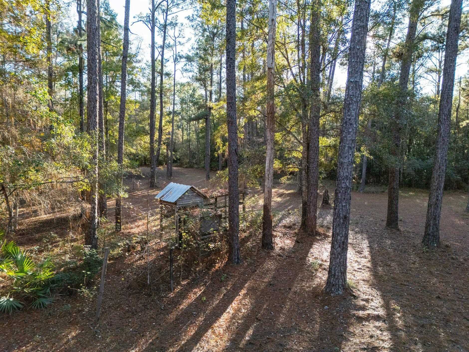 22 Berry Road Sopchoppy, FL 32358 - Photo 25 of 68