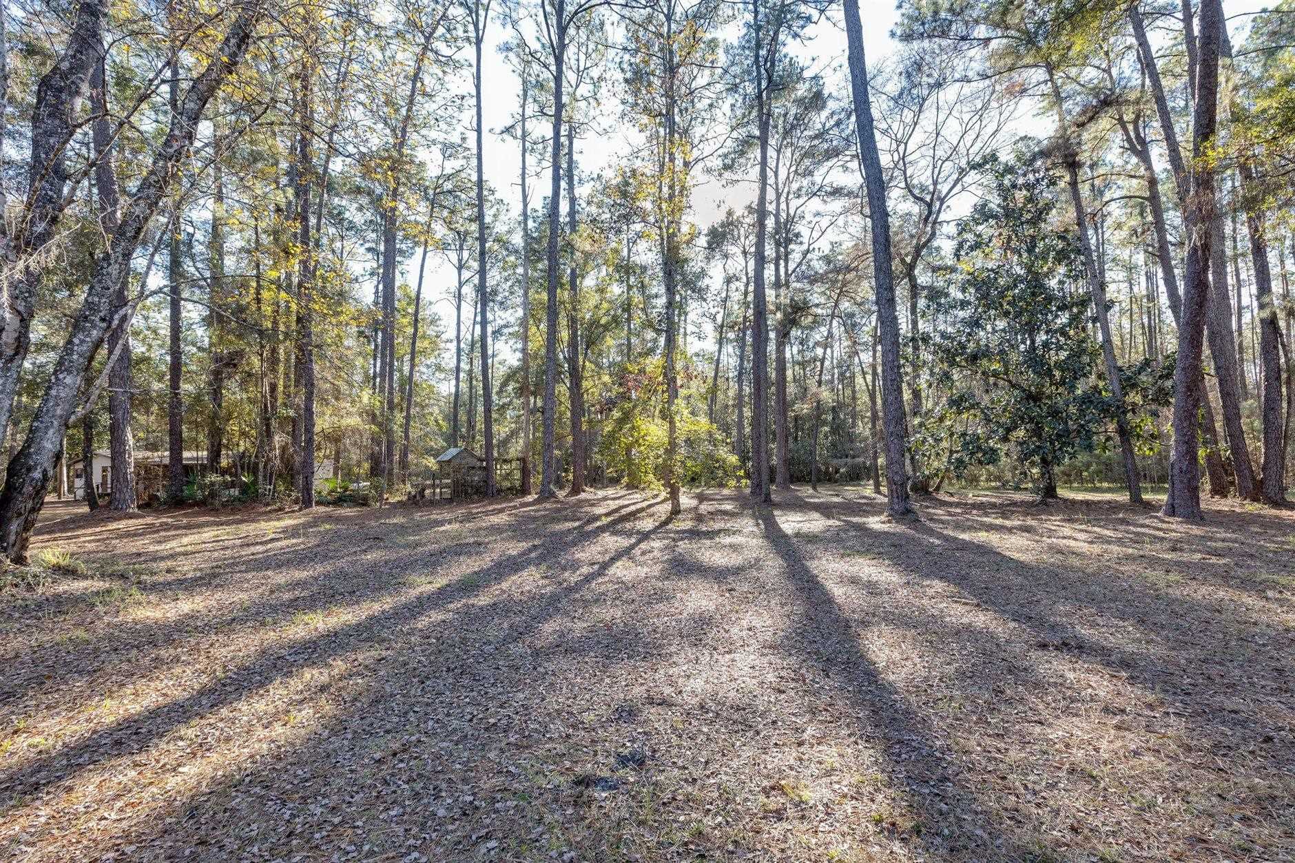 22 Berry Road Sopchoppy, FL 32358 - Photo 27 of 68