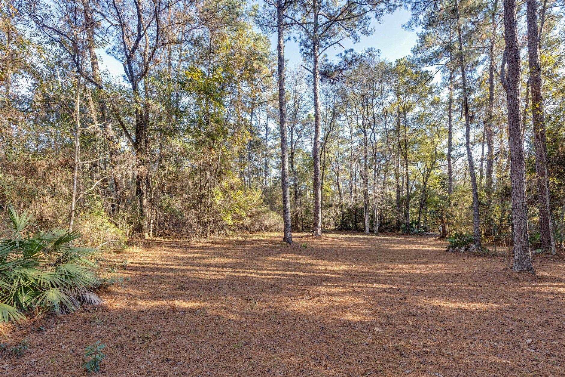 22 Berry Road Sopchoppy, FL 32358 - Photo 28 of 68