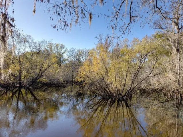 $269,000 | 22 Berry Road, Sopchoppy, FL 32358