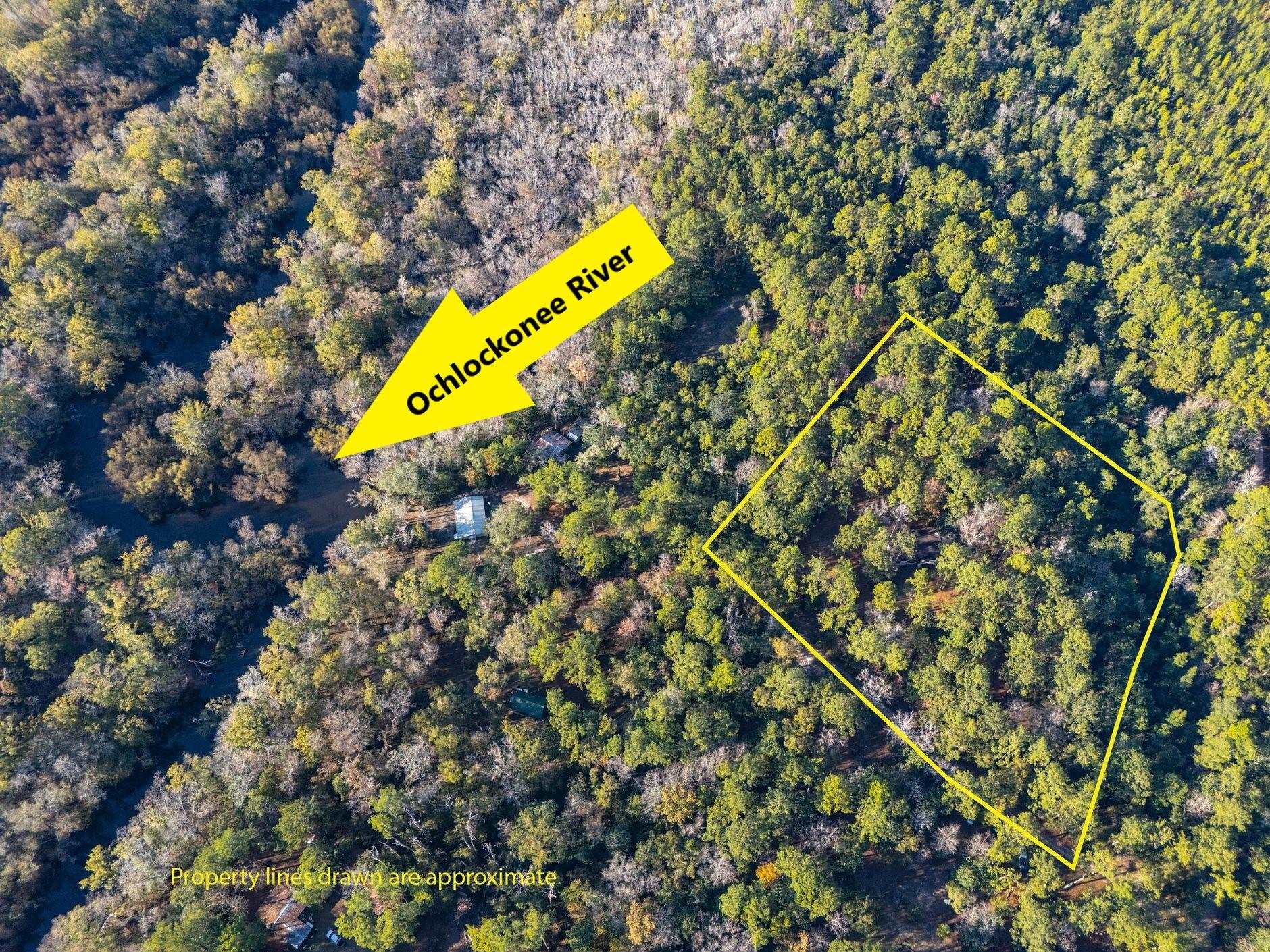 22 Berry Road Sopchoppy, FL 32358 - Photo 63 of 68