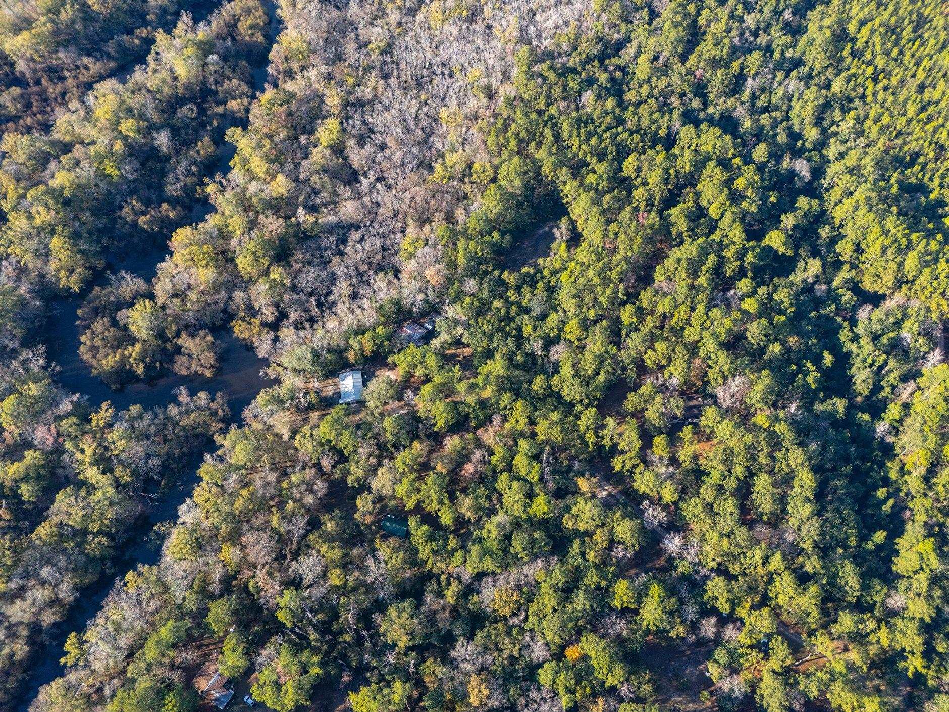 22 Berry Road Sopchoppy, FL 32358 - Photo 64 of 68