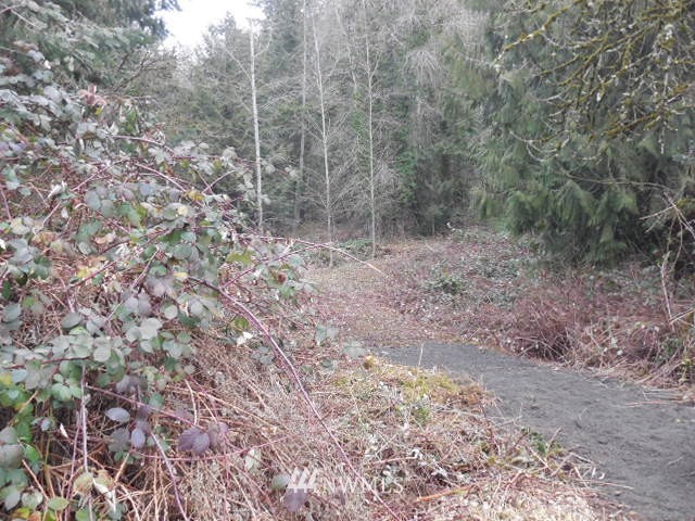 122 Haussler Road Kelso, WA 98626 - Photo 1 of 13 Gallery Image 1