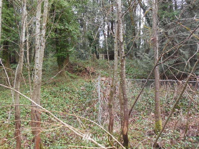 122 Haussler Road Kelso, WA 98626 - Photo 7 of 13 Gallery Image 7