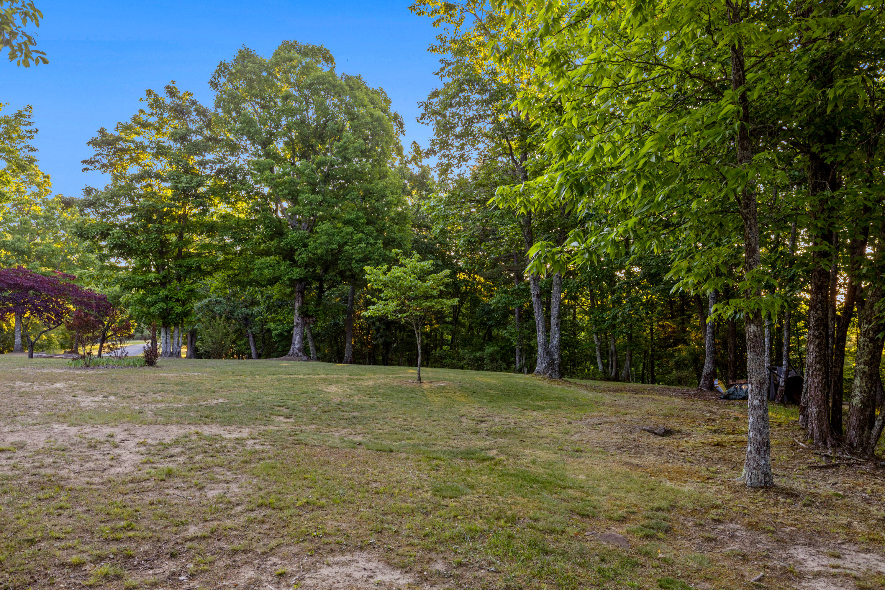 143 Tunnie Point Dunlap, TN 37327 - Photo 74 of 126 Tunnie-75