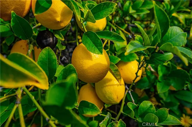 $649,000 | 25497 Blackwood Road, Murrieta, CA 92563