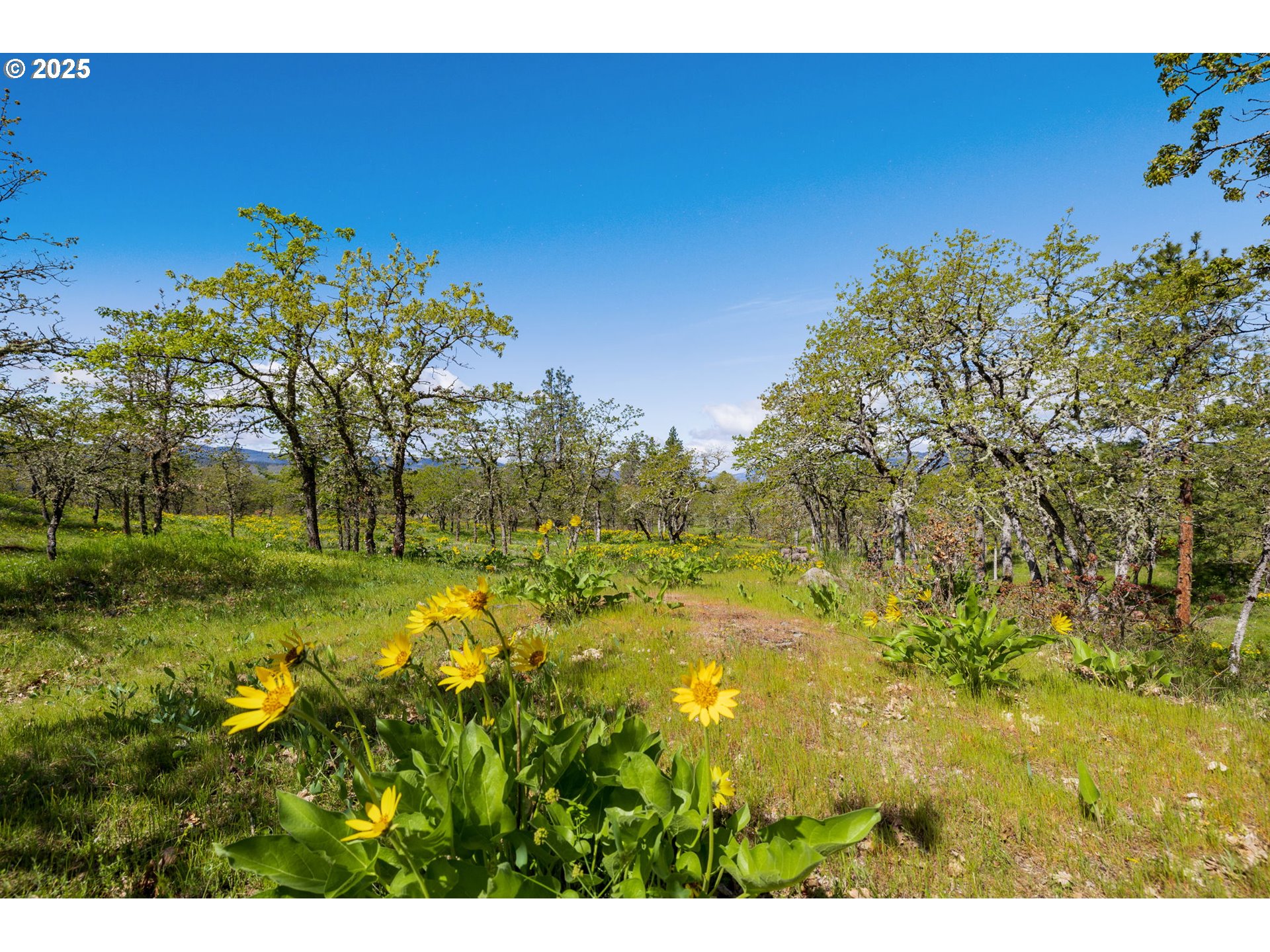 1025 Morgensen Road Mosier, OR 97040 - Photo 45 of 48 Gallery Image 45