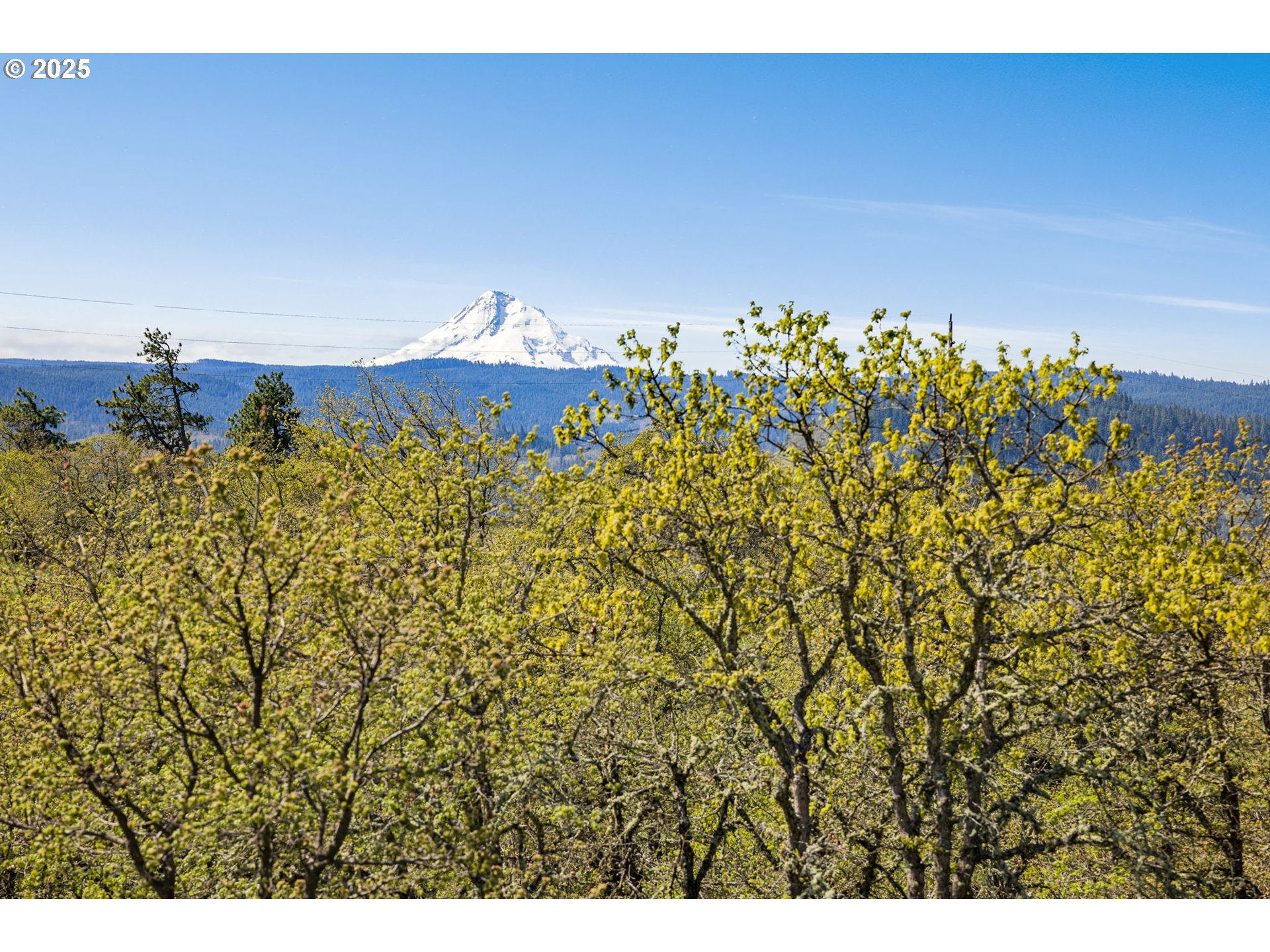 1025 Morgensen Road Mosier, OR 97040 - Photo 5 of 48 Gallery Image 5
