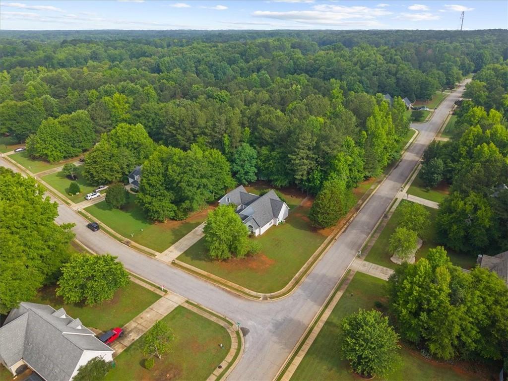 300 Cobb Court Hampton, GA 30228 - Photo 56 of 66