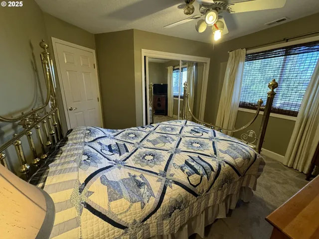 a view of a yard with plants and a bench