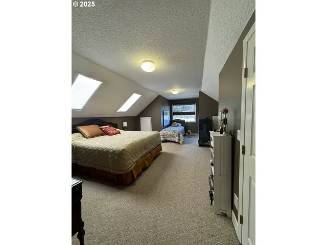 a view of a forest that has large trees