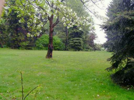 140 Richard Road Wexford, PA 15090 - Photo 8 of 8 Yard/Garden.