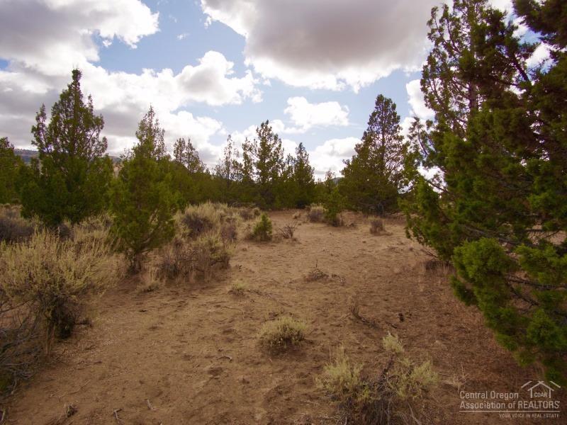 0 Southwest Harrison Way Powell Butte, OR 97753 - Photo 20 of 25 Additional Photo