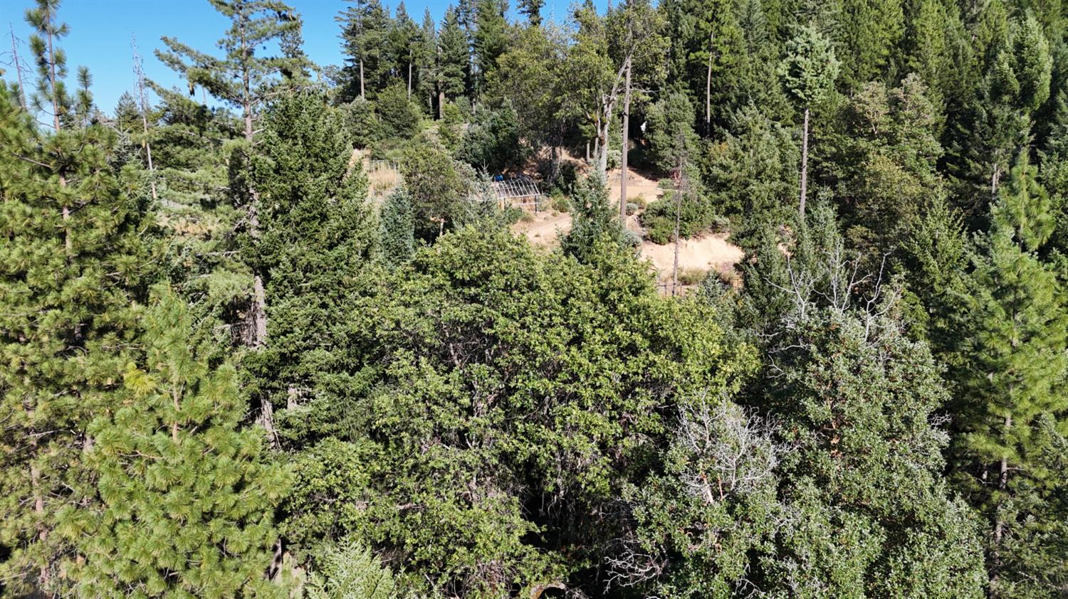 360 Power Line Road Hayfork, CA 96041 - Photo 5 of 18 Gallery Image 5