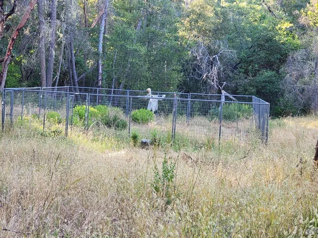 $550,000 | 97420 Mina Road, Covelo, CA 95428