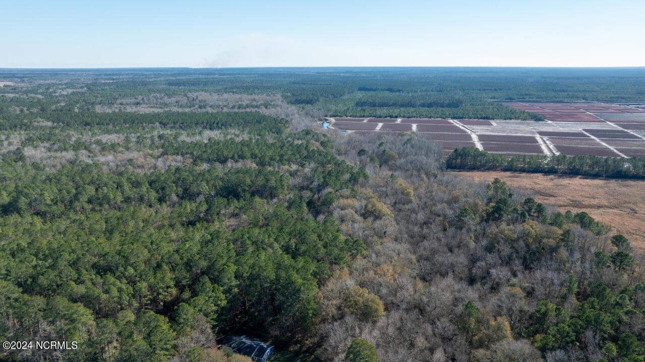 91 Rockfish Lake Road Maple Hill, NC 28454 - Photo 22 of 69 22